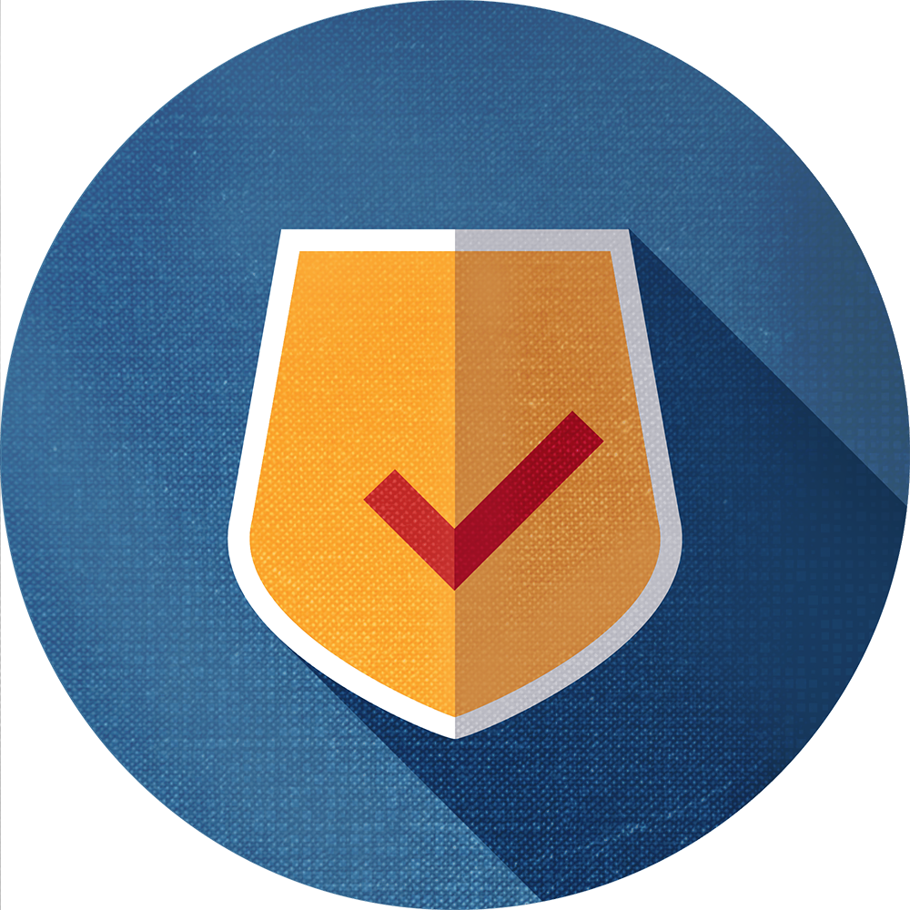safety shield icon