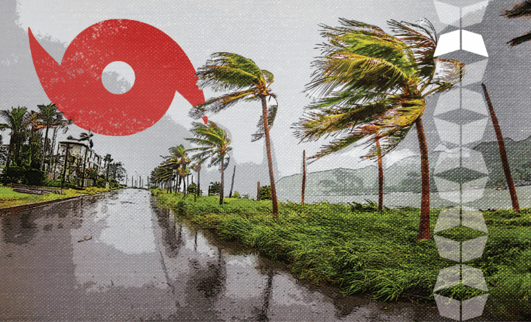 Palm trees in hurricane, signifying a need to practice logistics risk management during natural disasters and extreme weather